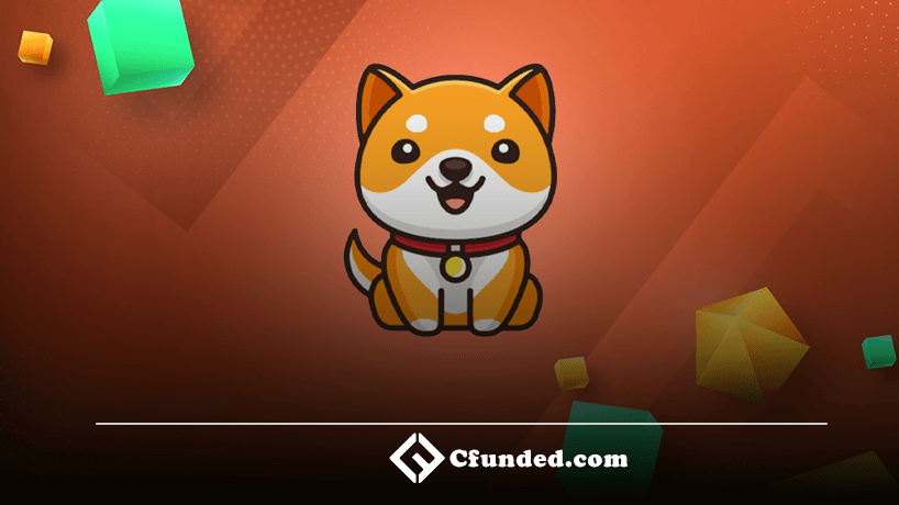 پیش بینی قیمت Baby Doge؛ ارز بیبی دوج تا کجا می‌تواند رشد کند؟